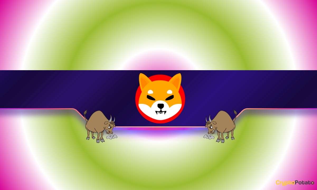 Why Is the Shiba Inu (SHIB) Price Up Today?