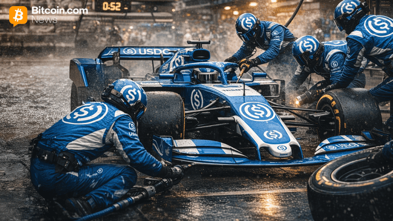 Stablecoin Market Takes a Breather After December’s $310B Peak