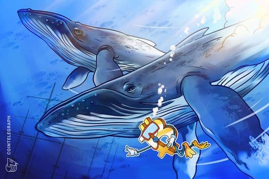 No, whales are not accumulating massive amounts of Bitcoin: CryptoQuant