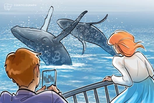 Whales, sharks buy 61,000 BTC in a month amid global uncertainty - MSN