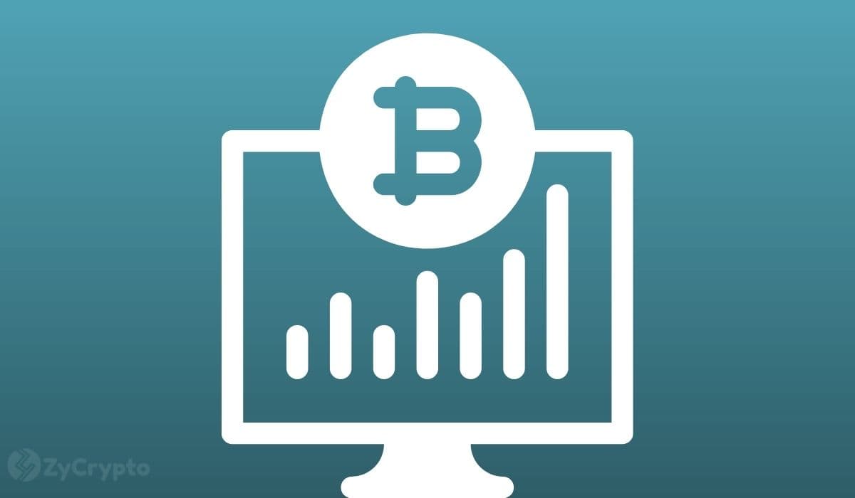 Could the World’s Richest Man Trigger a Bitcoin Boom? Mow Forecasts Musk Will Go ‘Hard’ into Bitcoin