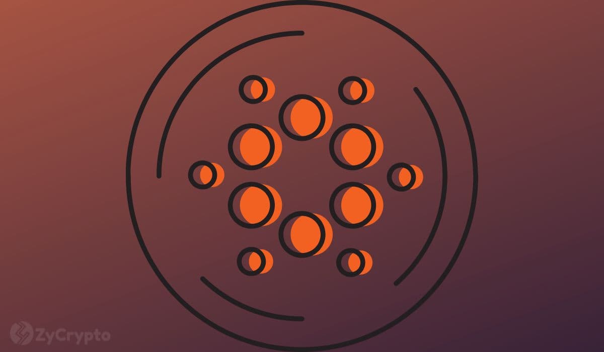 Cardano Shorts Hit 2023 Highs on Binance — Here’s Why This is Bullish for ADA