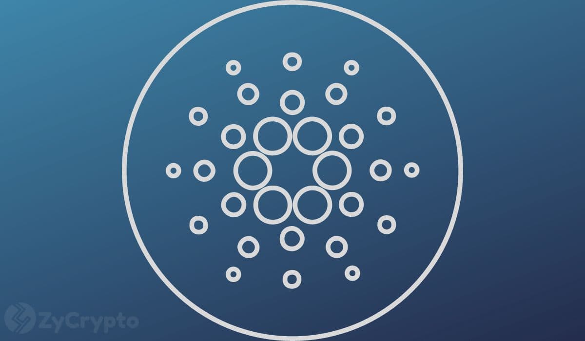 Cardano Eyes Major Upgrade Catalyst Even As ADA Bears Squeeze Price Beneath $0.29