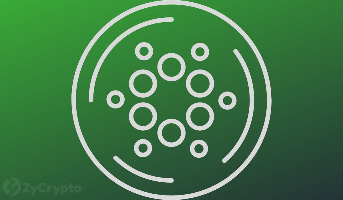 Cardano Whales & Sharks Ramp Up ADA Holdings as Midnight Sees Strong Institutional Backing