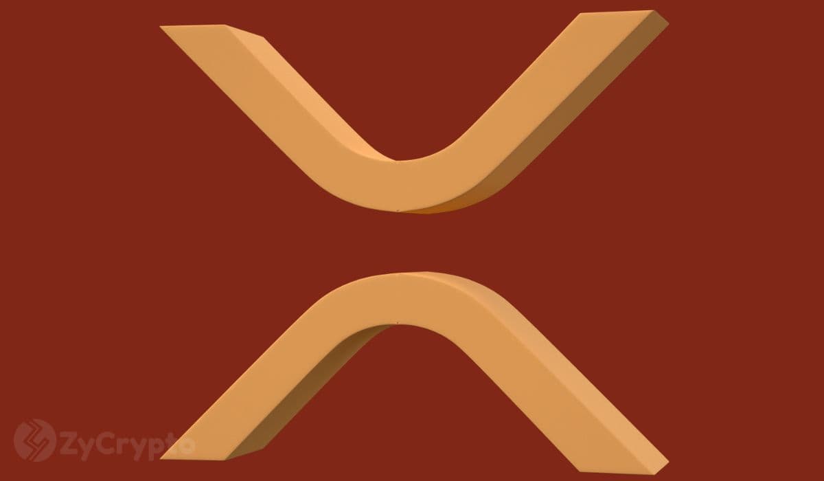 Is Ripple’s XRP In Trouble? Holders Under Pressure as Profit Supply Falls to July 2024 Levels