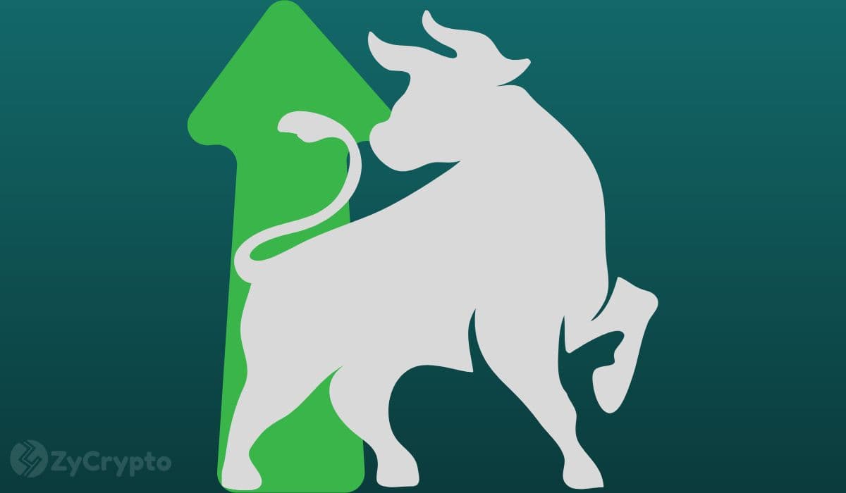 2026 Stands To Be A Game Changing Year for Ether, XRP, Cardano, Solana, DOGE, SHIB, Expert Reveals