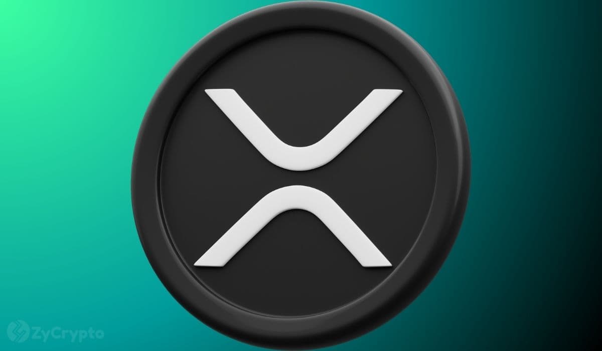 Ripple’s XRP Boom Imminent as Whales Snap Up Over 200 Million XRP In A Week
